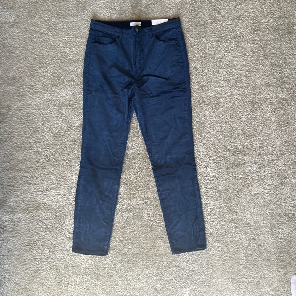 New with tags Loft velvety pants in size 33/16 tall